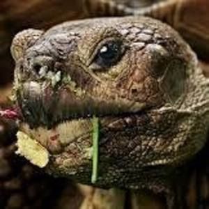 Meet your Posher, Marshall